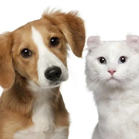 Casa vacanze Ca Emma *