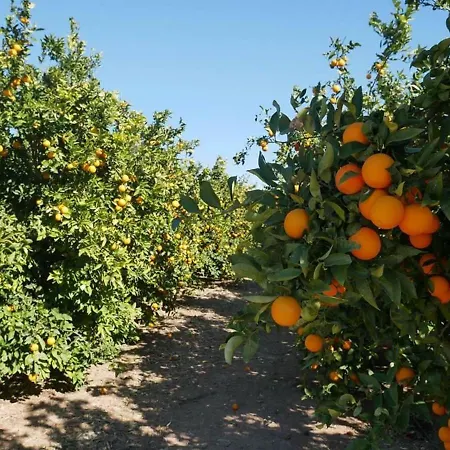 Ca Emma Casa vacanze